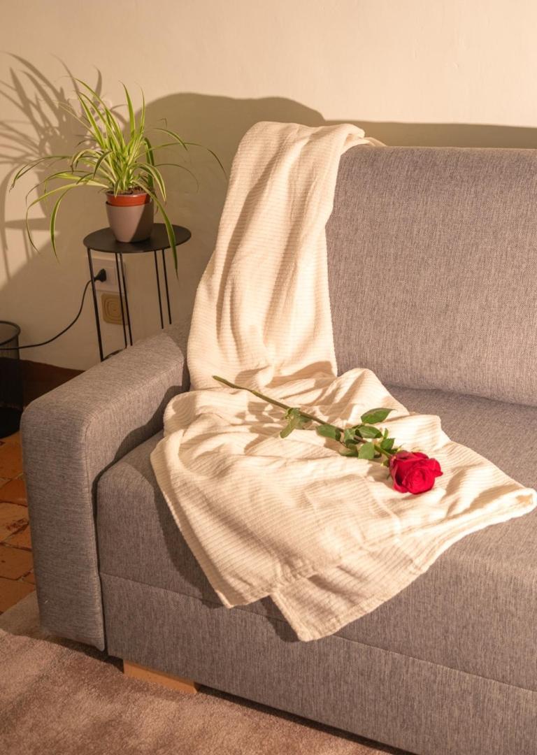Millennial Walls Elegant Relax In Center Appartamento *